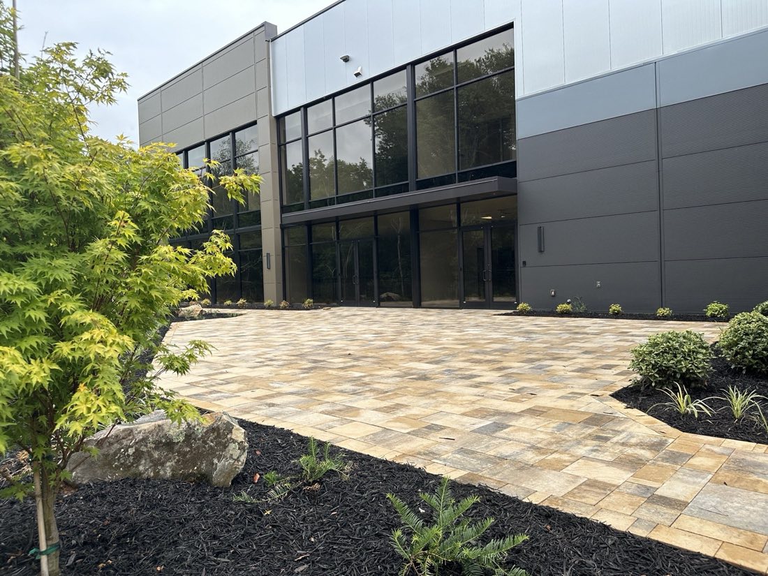 Paver entry plaza with Japanese maple and boulder accents