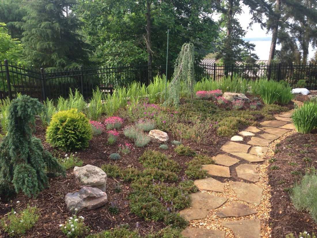 Hillside garden with a flagstone path through flowering perennials and conifers