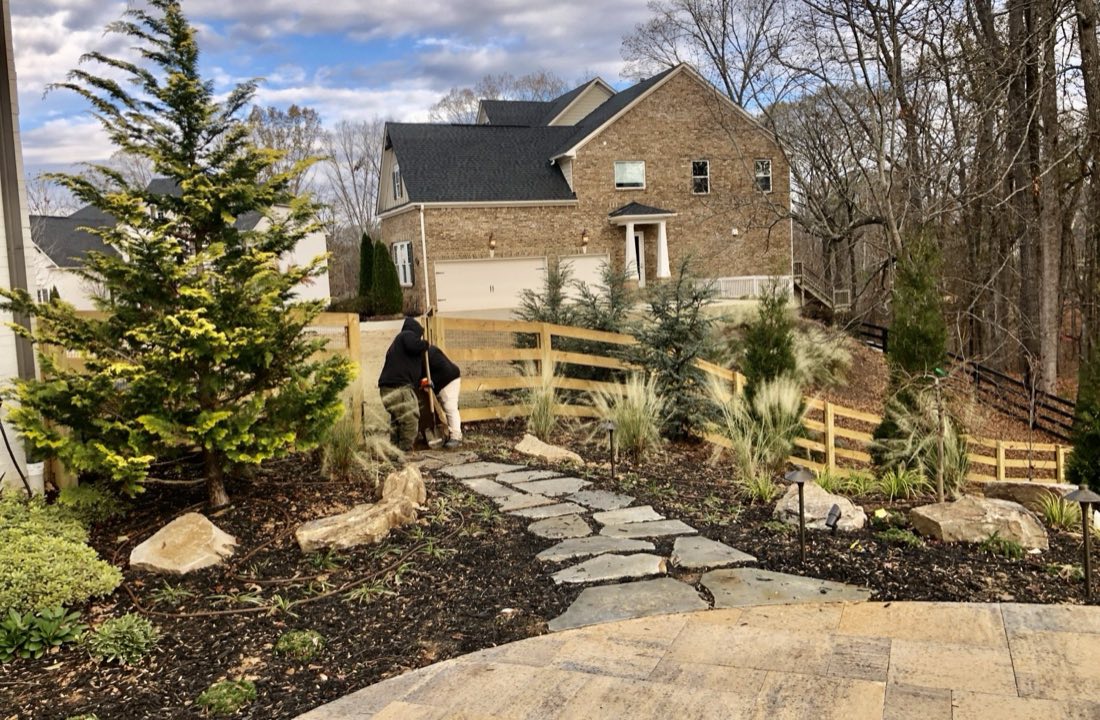 Flagstone entry path through new conifer and grass plantings